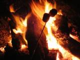 Campfire in Hickory