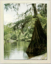 Florida Peace River
