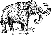 Mammoth
