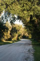 Gardner driveway