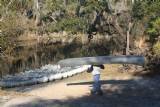 Gardner Beach canoes