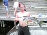 Fish-Snook