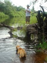 Fish-Dog