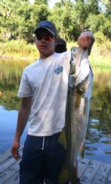 Fish-Snook