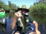 Fish-Bass